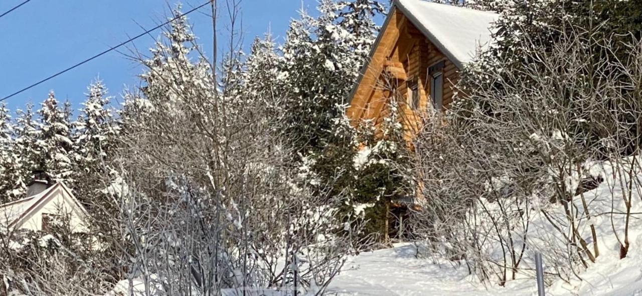 Alpenchalet Grabner Alm Am Praebichl Almhauser Экстерьер фото
